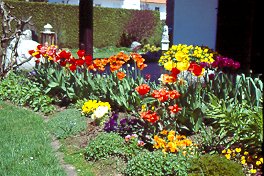 Garten von Horst Frank aus Mammendorf