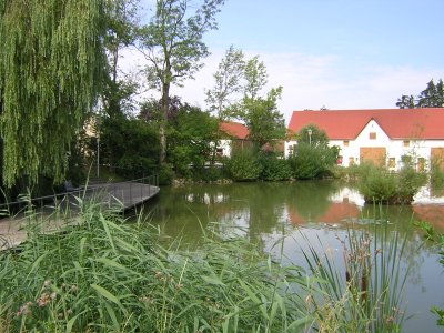 Der Adelshofener Dorfweiher