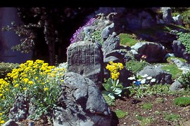 Garten der Fam. Brunner aus Kottgeisering