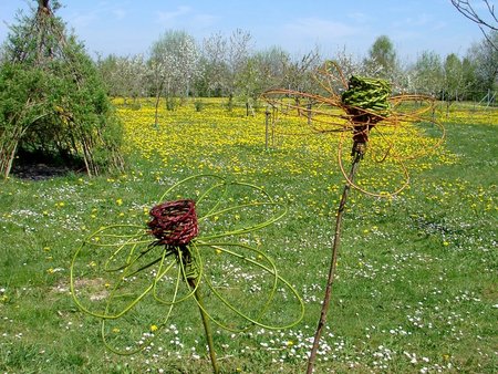 Weidenblumen, die nicht welken