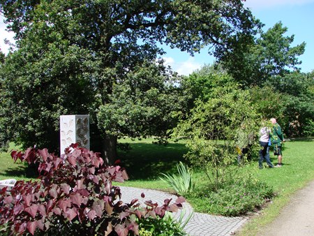 Baumbestattungsfläche im Eichenauer Gemeindefriedhof