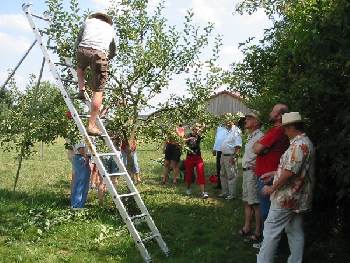 Sommerschnittkurs im Kreislehrgarten