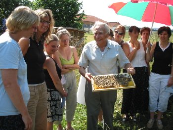 Bienenstand im Lehrgarten