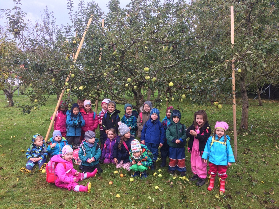 Kindergartengruppe bei der Apfelernte