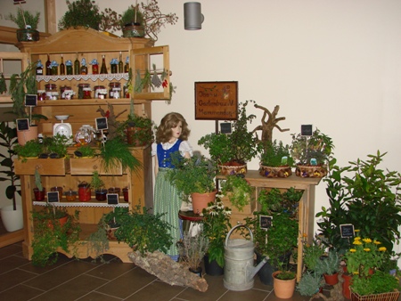 Erntedankstand des Mammendorfer Gartenbauvereins