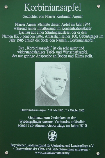 Infotafel