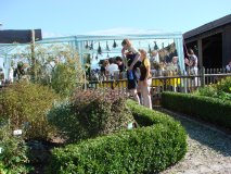 Kräutergarten